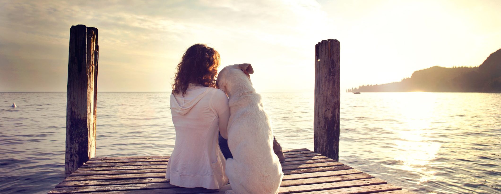 Convenient veterinary appointments. as owner with dog.