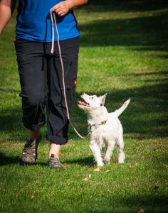 running-4442053_640