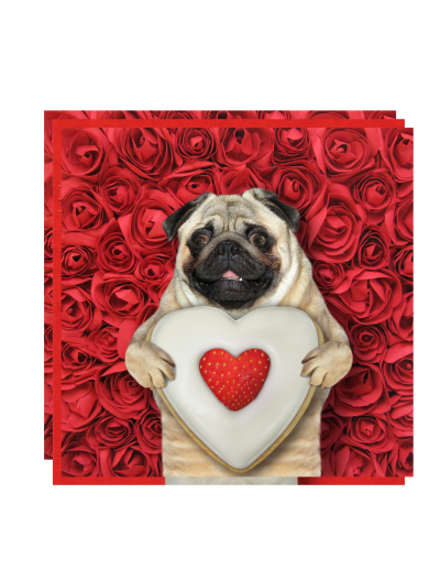 Roosevelt Vet clients love us! Little pug with heart.