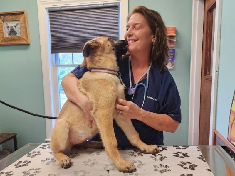 Dog licking a Roosevelt Veterinary Center staff member