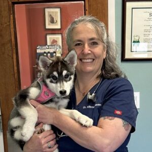 Roosevelt Veterinary Center Veterinary Staff holding a husky puppy