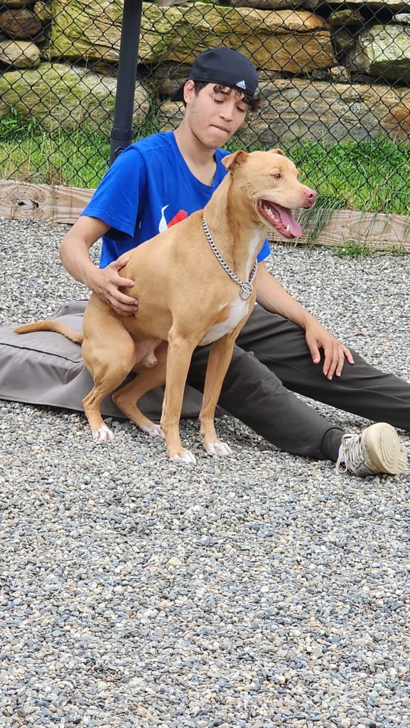 Man and dog embracing Man and dog embracing