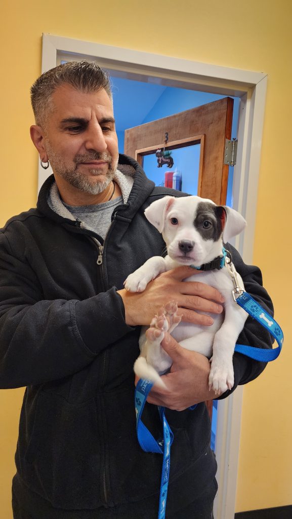 Man holding white puppy Man holding white puppy