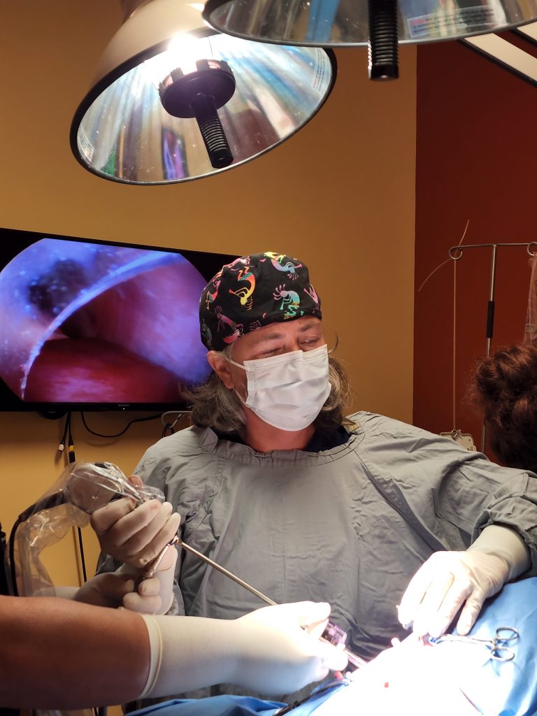 Surgeon performing veterinary endoscopy Surgeon performing veterinary endoscopy