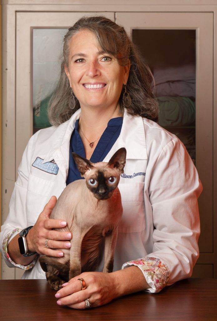 Veterinarian, Sphynx cat, smiling Veterinarian, Sphynx cat, smiling