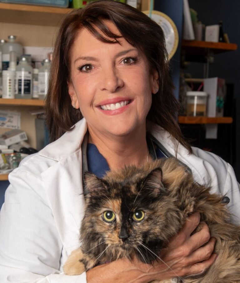Veterinarian smiles holding cat Veterinarian smiles holding cat