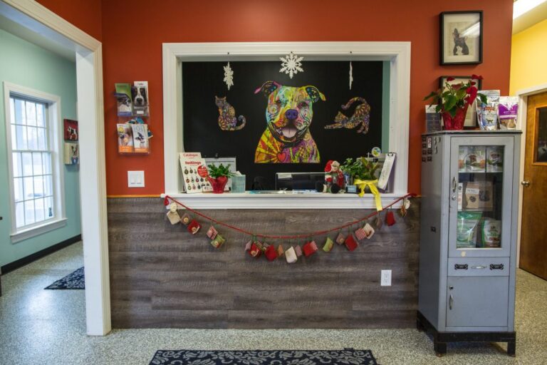 Veterinary office reception area Veterinary office reception area
