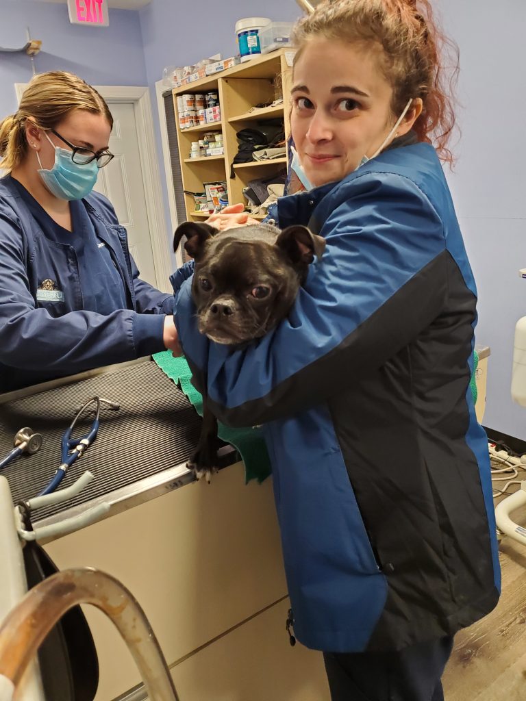 Woman holding dog, vet Woman holding dog, vet