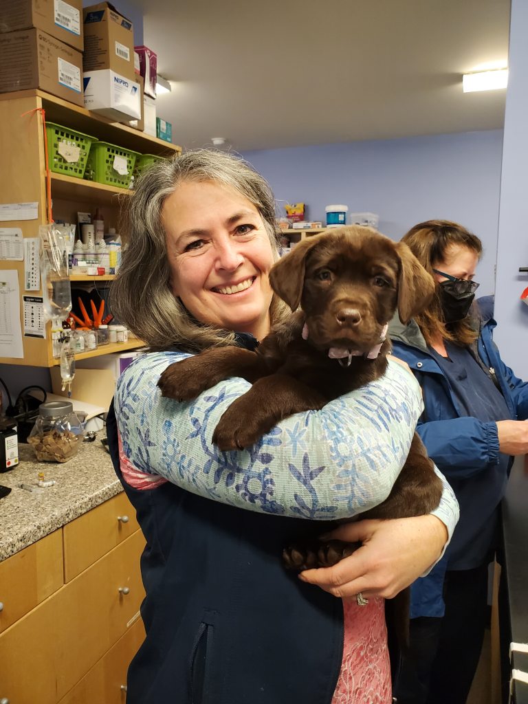 Woman smiles, puppy in arms. Woman smiles, puppy in arms.