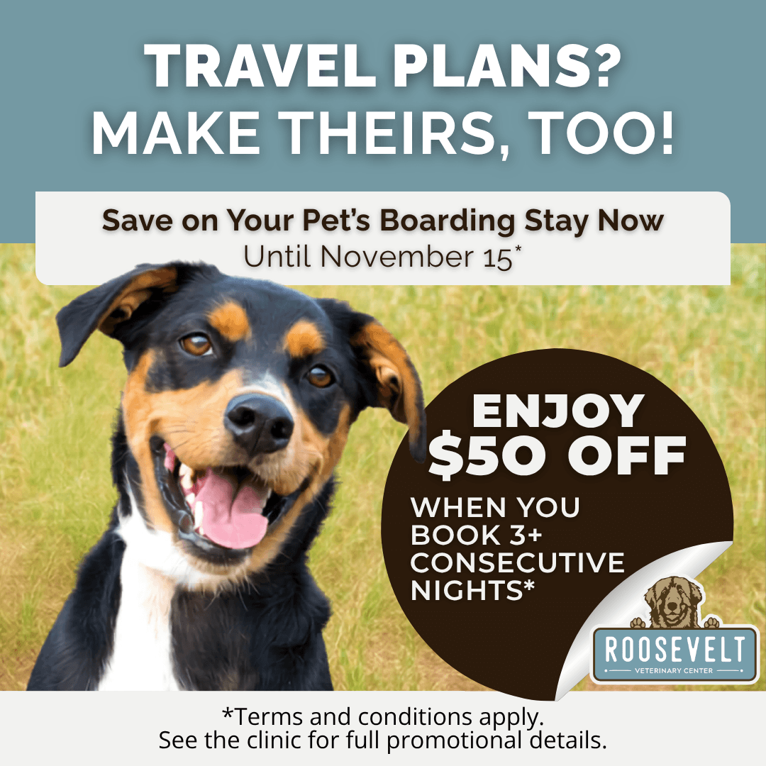 Roosevelt Veterinary Center boarding promotion: Save when you book 3 or more consecutive nights through November 15
